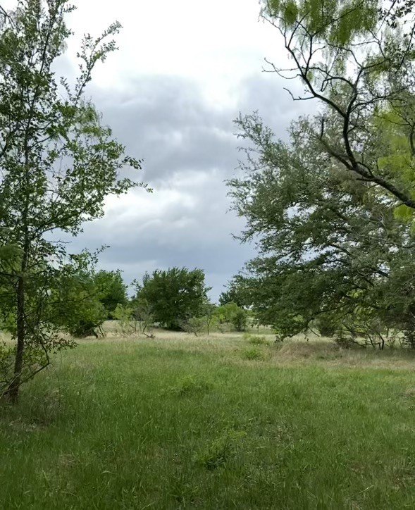 Picture 4