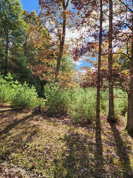 Residential Lot Near Resort Amenities