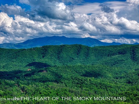 Lots & Acreage, Sevierville, TN