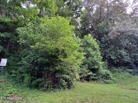 Wooded Land in Maryville, TN