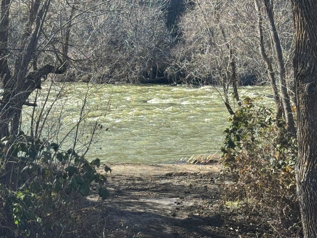 Picture 8