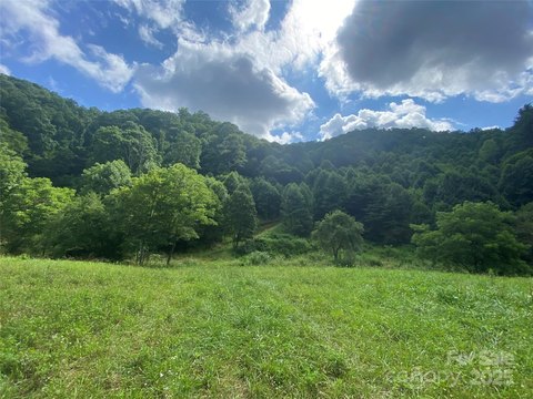 56 Acres of Madison County Land