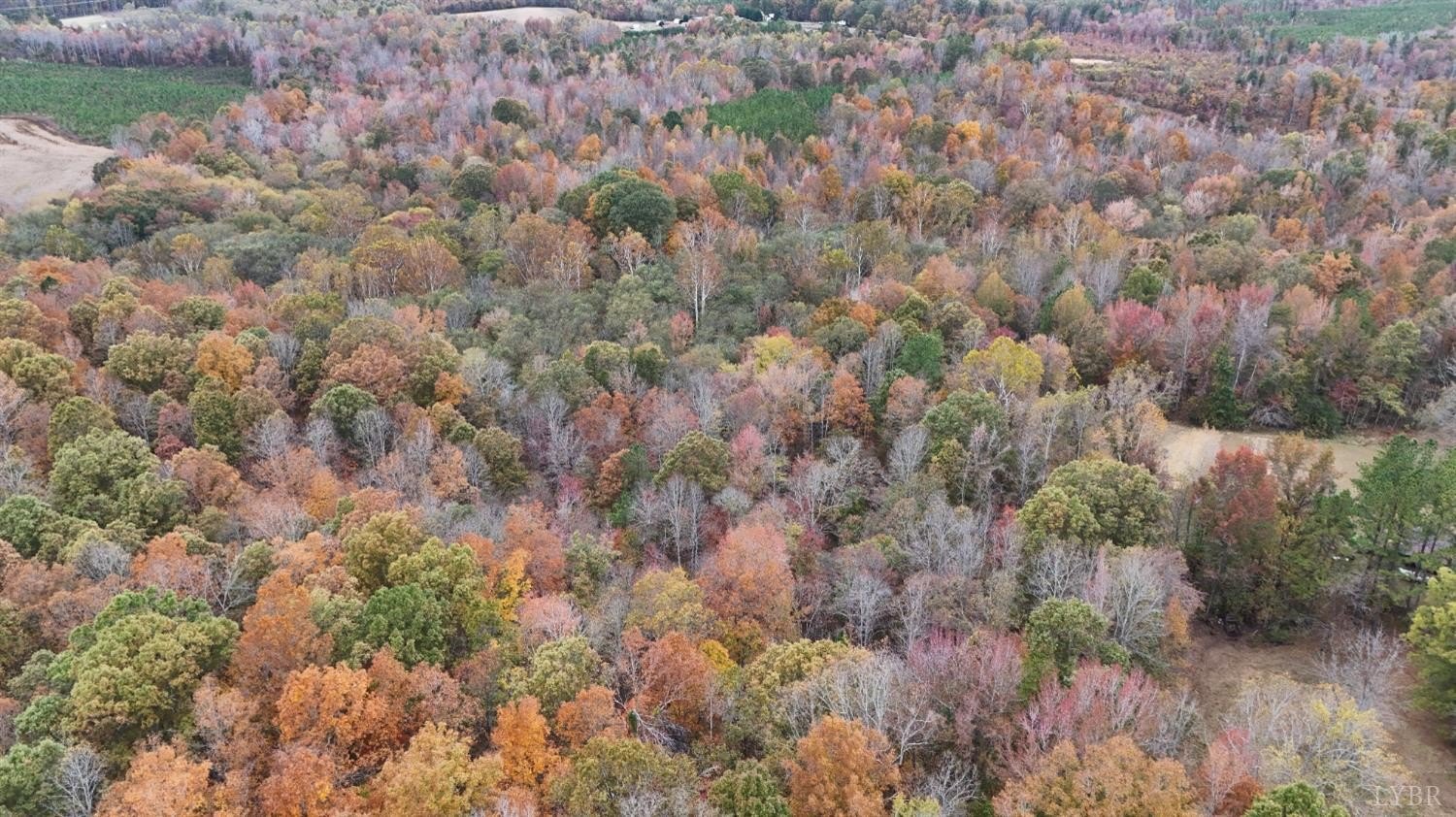 Nathalie, VA Land Tract