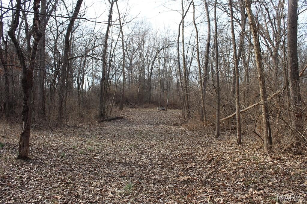 Picture 7
