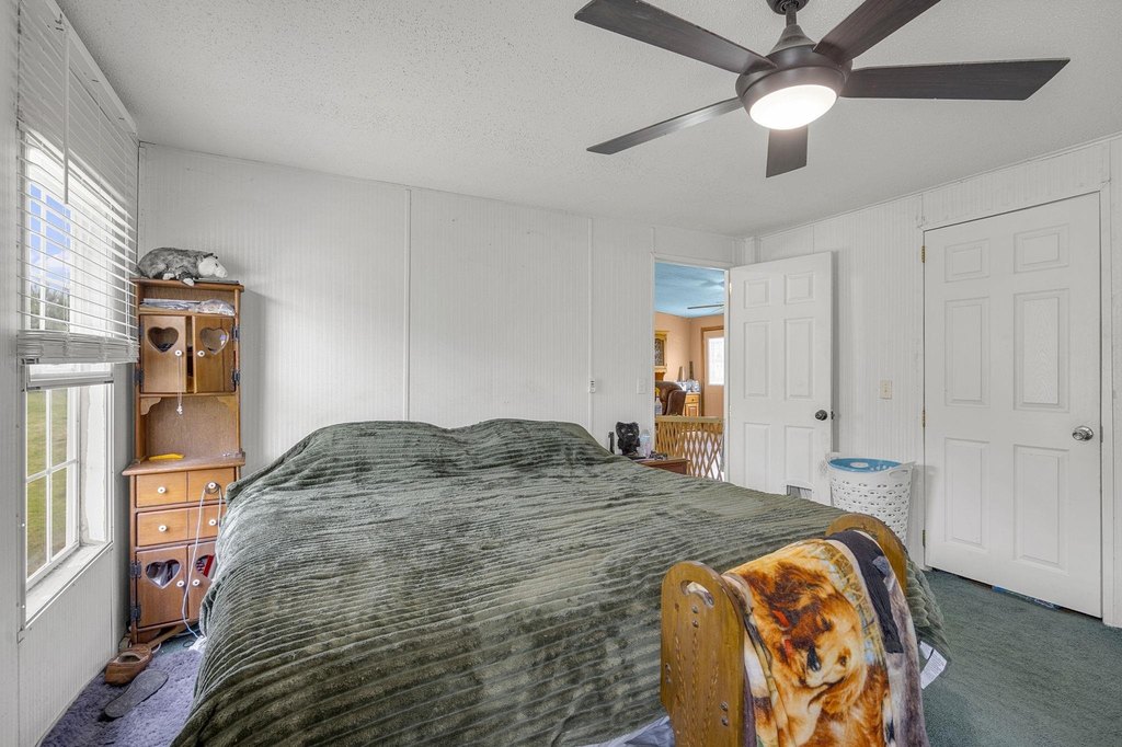 Picture 23