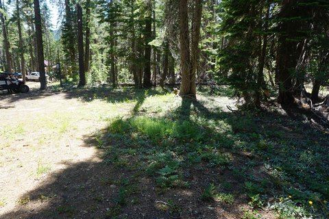 LAND - Bucks Lake, CA