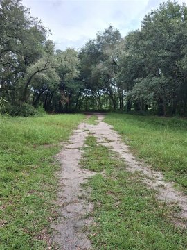 Land, DUNNELLON, FL