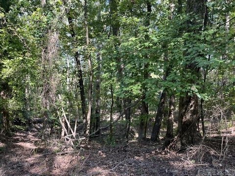 Vacant Land, Hot Springs Village, AR