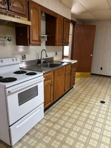 Picture 5