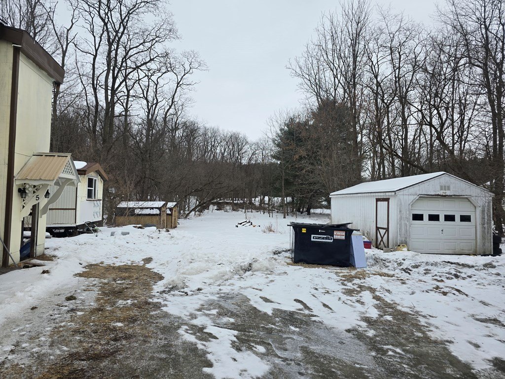 Picture 45