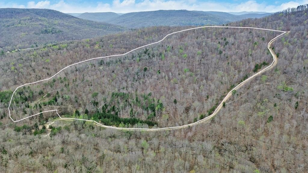 Secluded Wooded Land in Jamestown