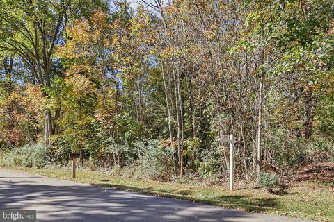 Two Acre Wooded Lot