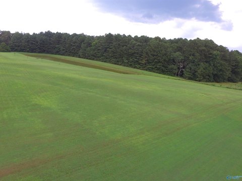 Cleared Farmland with Pond