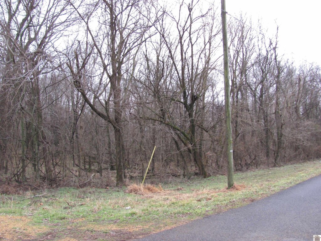 Picture 5
