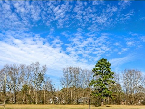 Land, St. Amant, LA