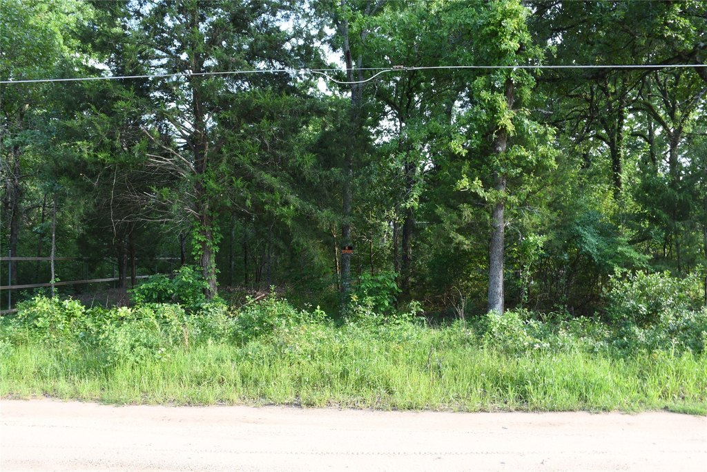 Picture 16