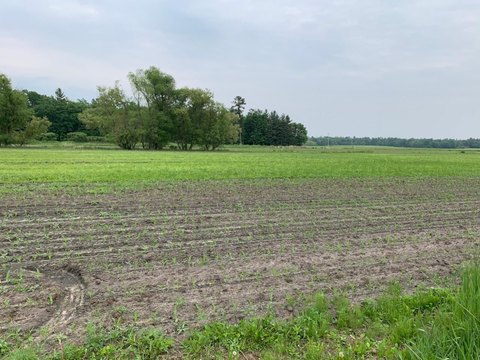 Flat Agricultural Land with Pond