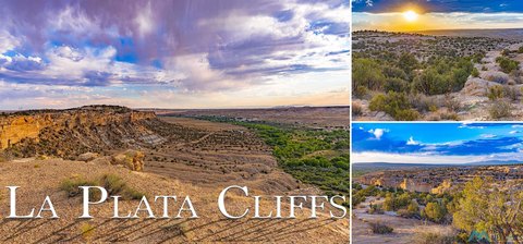 LAND - Farmington, NM