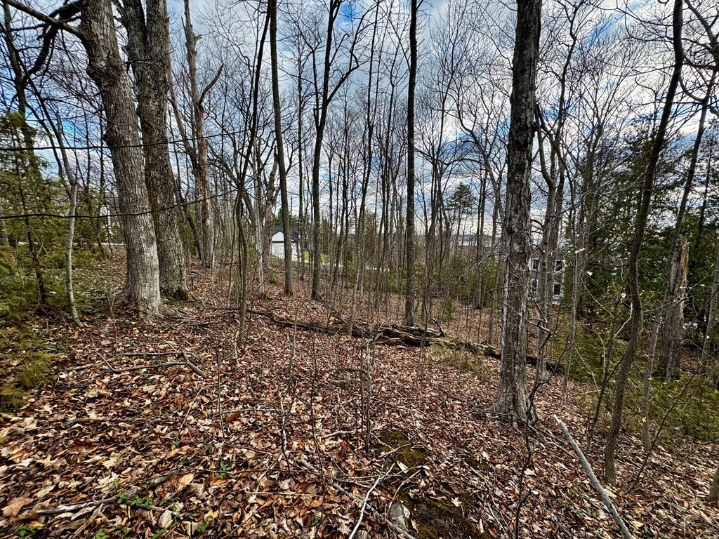 Picture 8