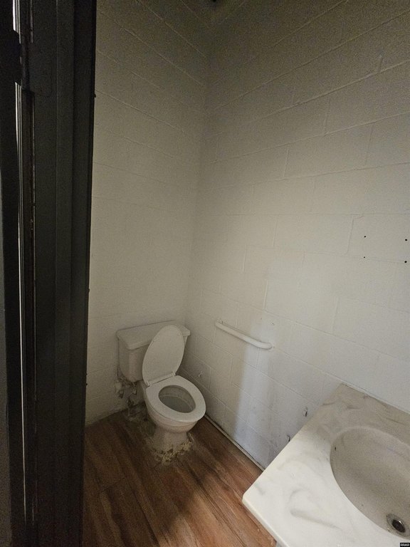 Picture 13