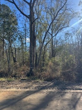 LAND - Adel, GA