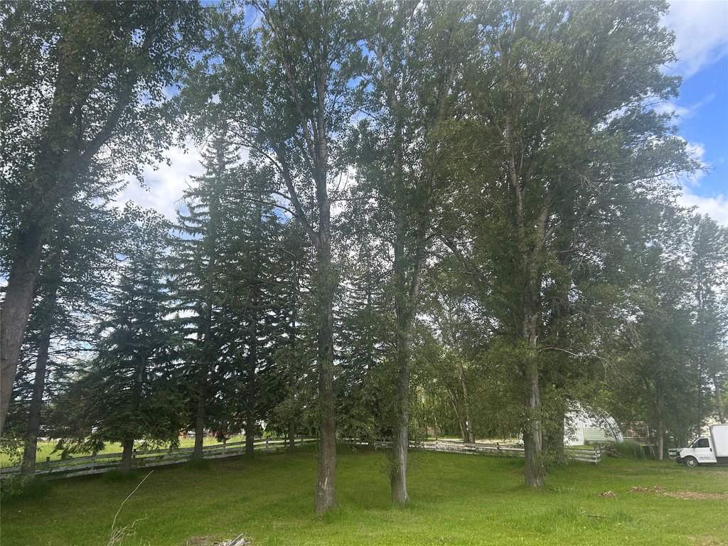 Picture 22