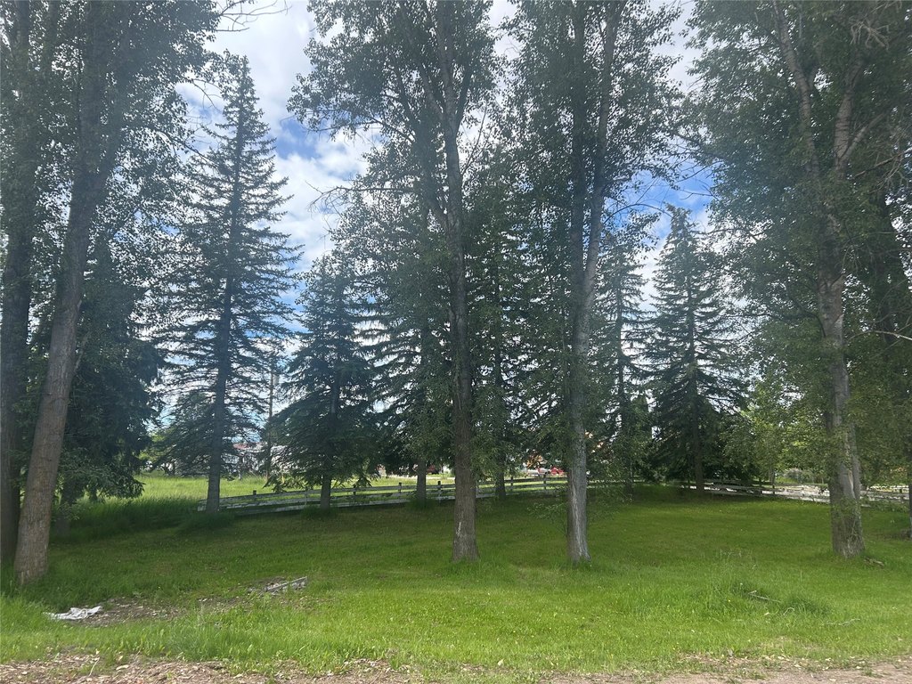 Picture 25