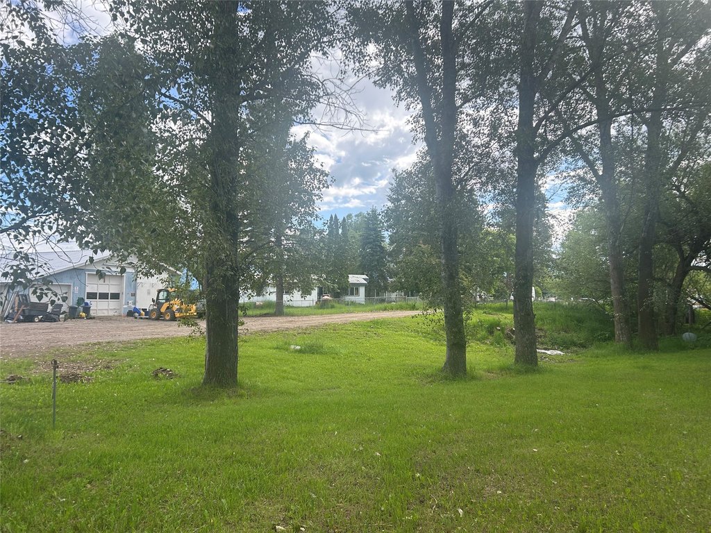 Picture 23
