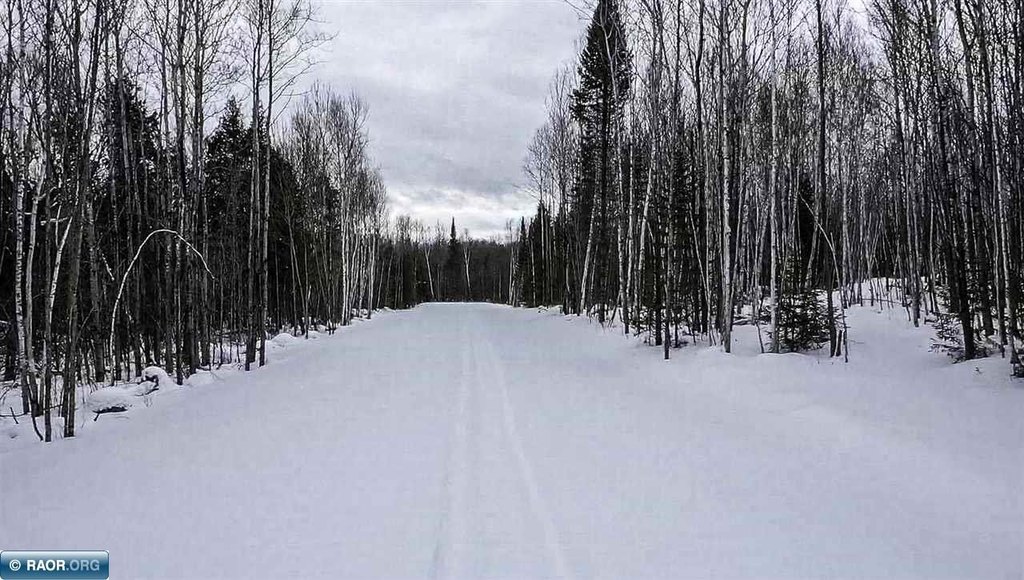 Picture 14