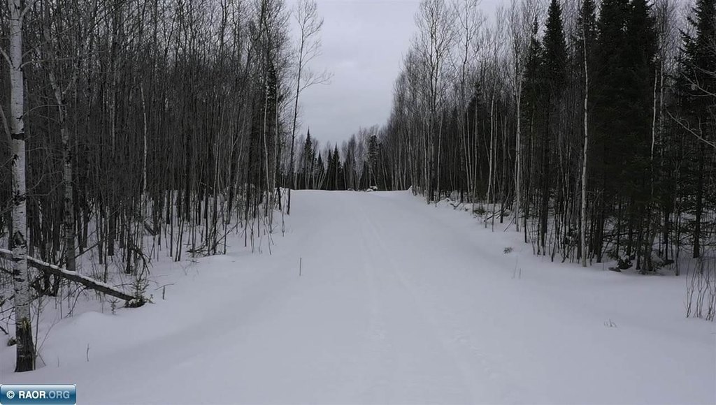 Picture 12