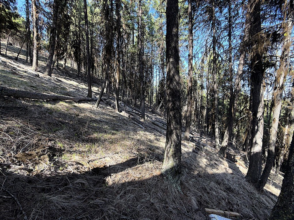 Picture 19