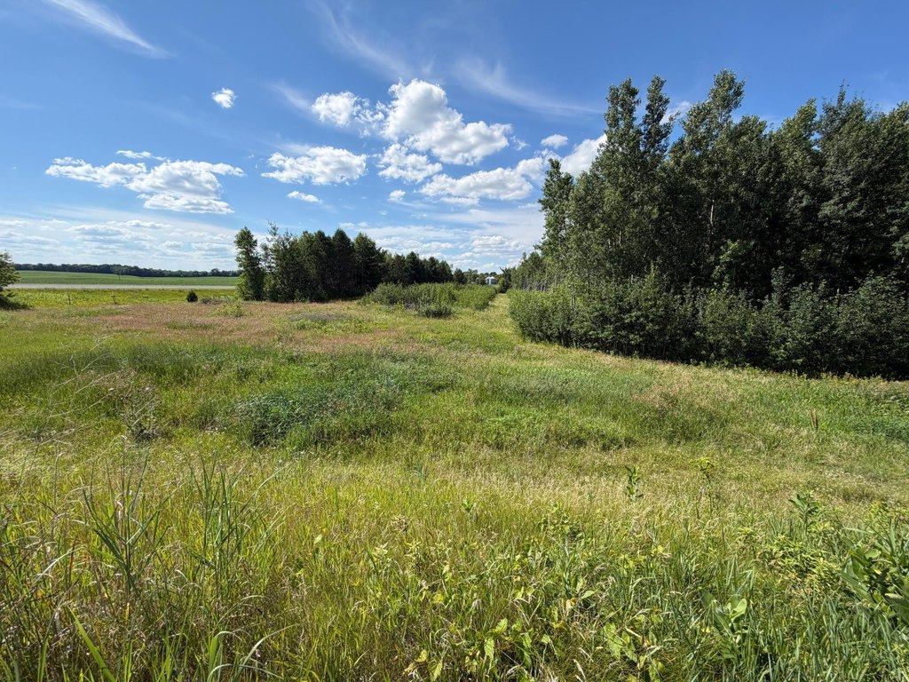 Picture 28