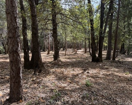 Zoned TM5 Land Parcel