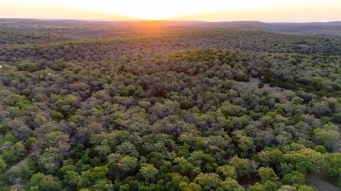 Scenic 80-Acre Texas Hill Country