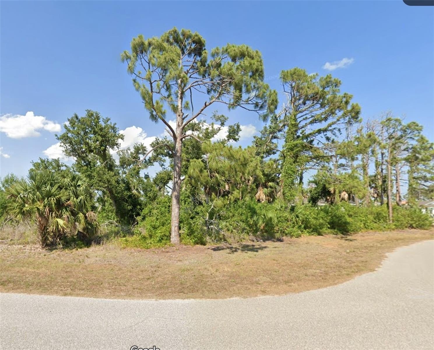 Oversized Parcel in Rotonda Lakes