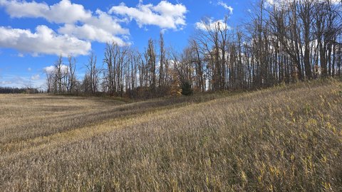 Land, Vanderbilt, MI