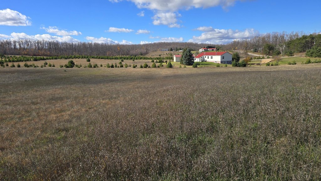 Picture 8