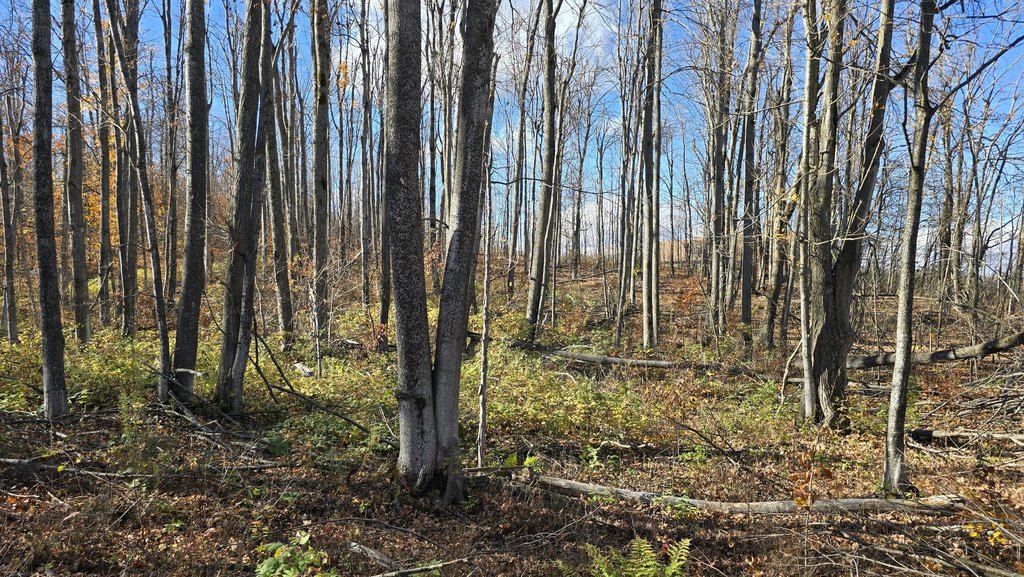 Picture 9