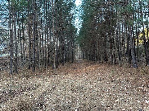 Wooded Land Near Haw River