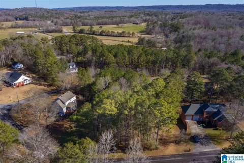 LAND - ONEONTA, AL