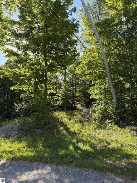 Picture 21