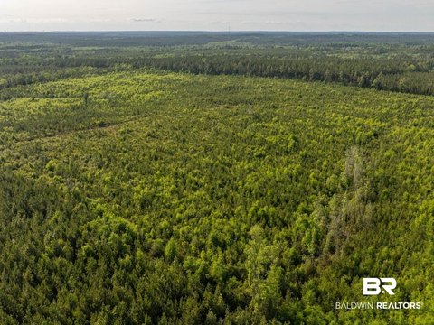Waterfront Land Tract