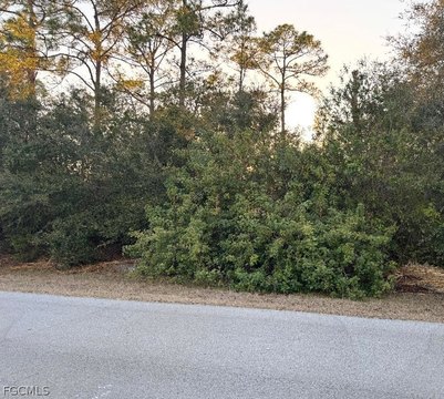 Lehigh Acres Land For Sale