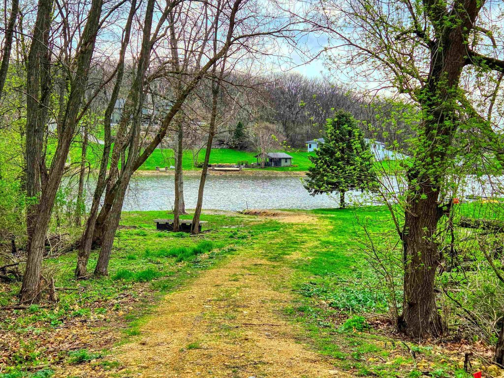 Picture 6