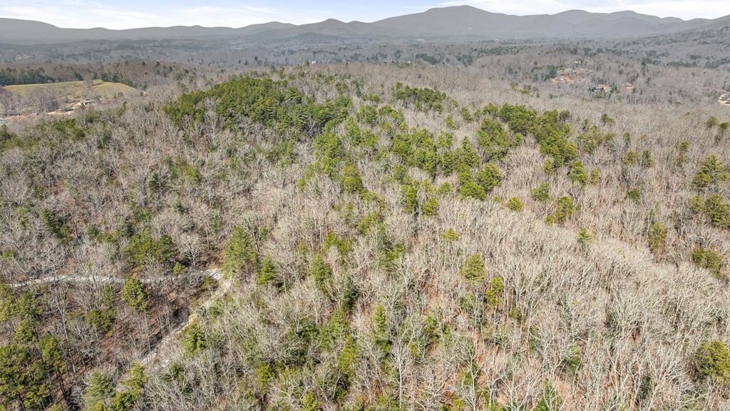 Unrestricted Land with Mountain Views