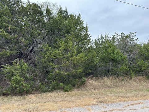 Residential Lot in White Bluff