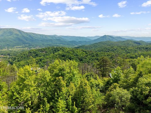 Panoramic Mountain View Acreage