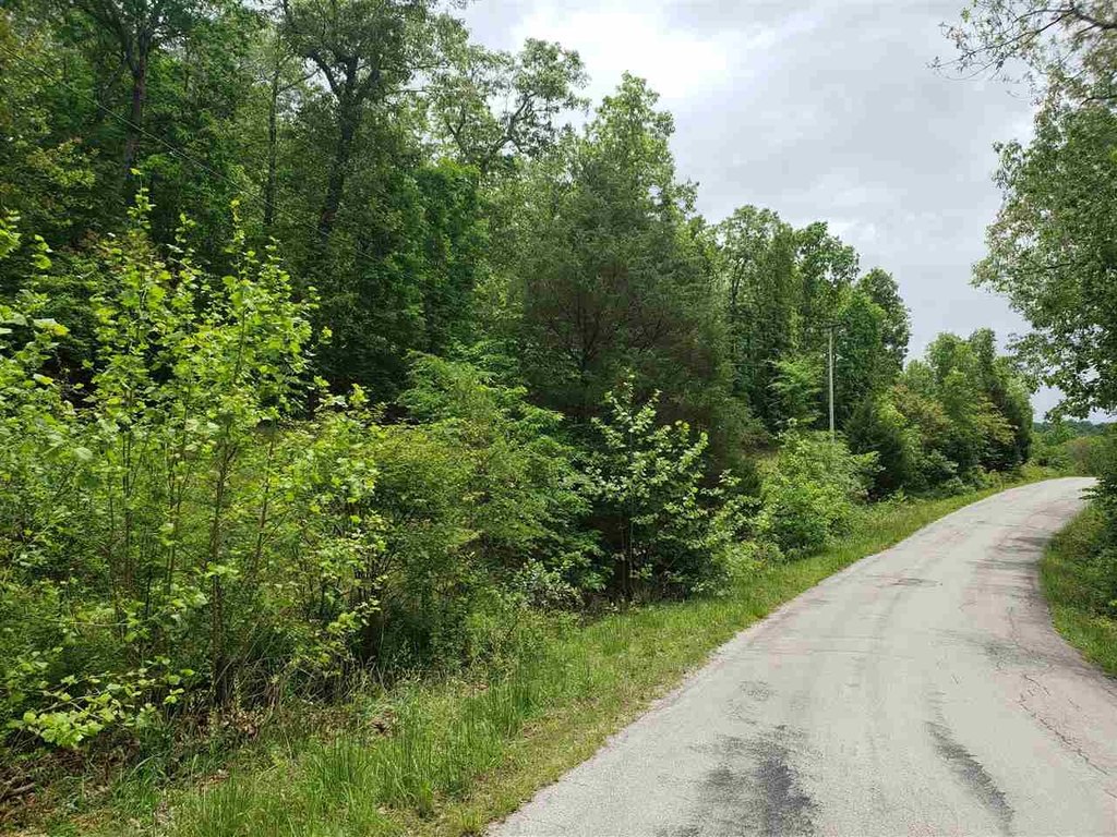 Picture 14