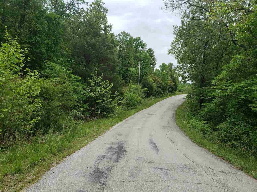 Picture 3