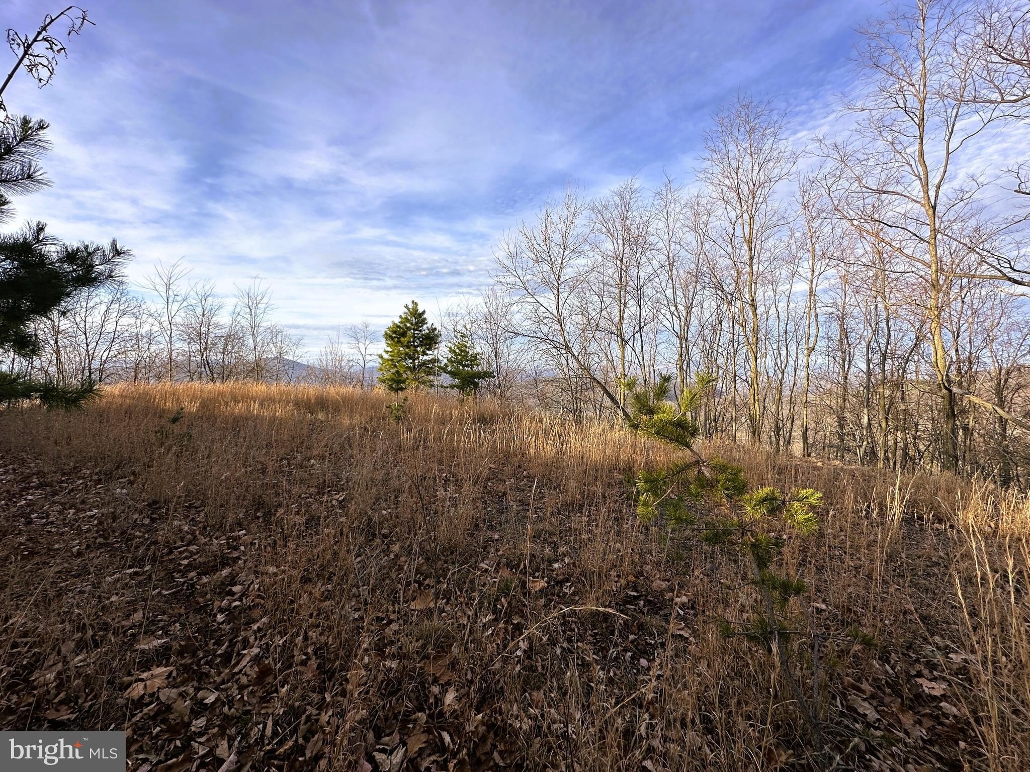 20 Acres with Mountain Views